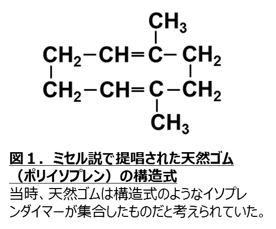 図１．ミセル説で提唱された天然ゴム（ポリイソプレン）の構造式
当時、天然ゴムは構造式のようなイソプレンダイマーが集合したものだと考えられていた。
